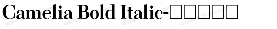 Camelia Bold Italic字体转换